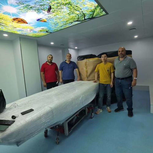 エジプトにおける永久磁石シールドルームの建設