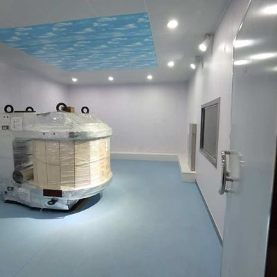 良い価格 電子磁気シールド ファラデーケージ MRI 磁気閉塞 最適保護 オンライン