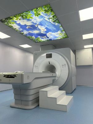 品質 共鳴画像システム 1.5T ファラデーケージボックス 100MHZ 超伝導磁気 工場