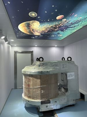 品質 恒久磁気ファラデーケージ 超伝導磁気ファラデーケージ 電子機器 工場