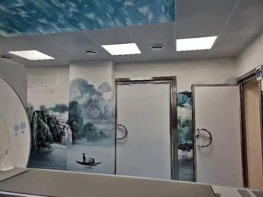 良い価格 STC 45 音波伝送クラス 障壁のないシールドドア 重荷ボールベアリングヒンジ オンライン